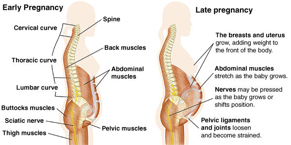 Types of Back Pain in Pregnancy